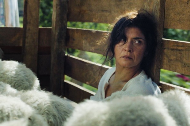 EXCLUSIF : Un clip de The Rye Horn, sélectionné à Toronto et San Sebastian