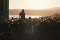 Frédéric Farrucci is shooting Un mohican