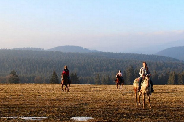The Czech Film Fund supports seven domestic projects in its latest round of funding