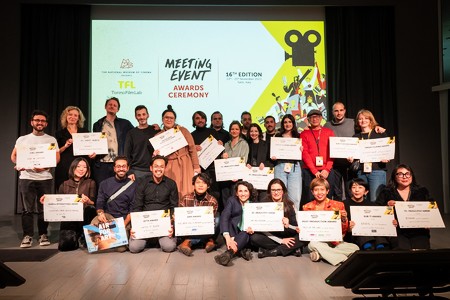 Thirteen international projects honoured at the TFL Meeting Event