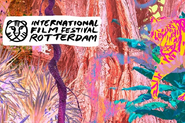 REPORT: IFFR 2024