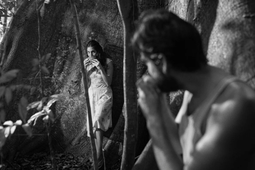 Review: Portrait of a Certain Orient - Vimarsana News