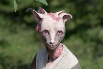 Al via Berlinale Shorts
