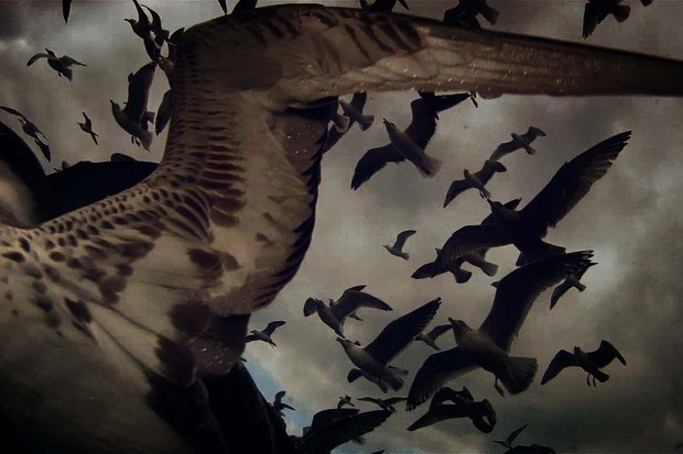 The Eye Filmmuseum presents Cosmic Realism