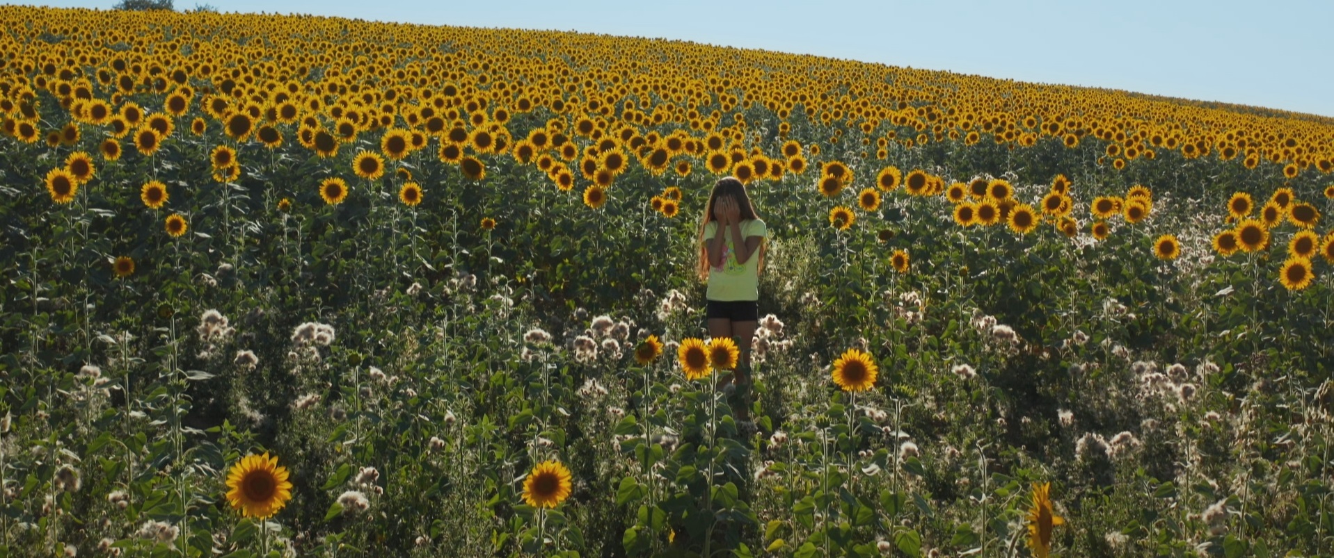 Nine documentary films to screen at Hot Docs as part of The Changing Face of Europe - Vimarsana News