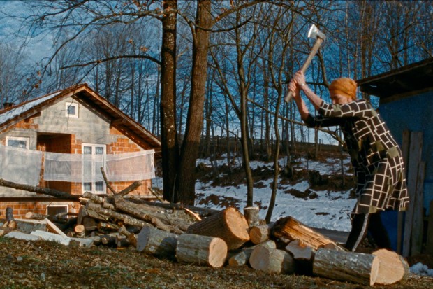 EXCLUSIVE: Trailer and poster for Visions du Réel title The Landscape and the Fury
