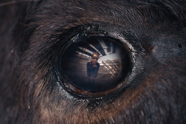 Critique : Animale