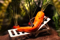 GoCritic! Review: Carrotica