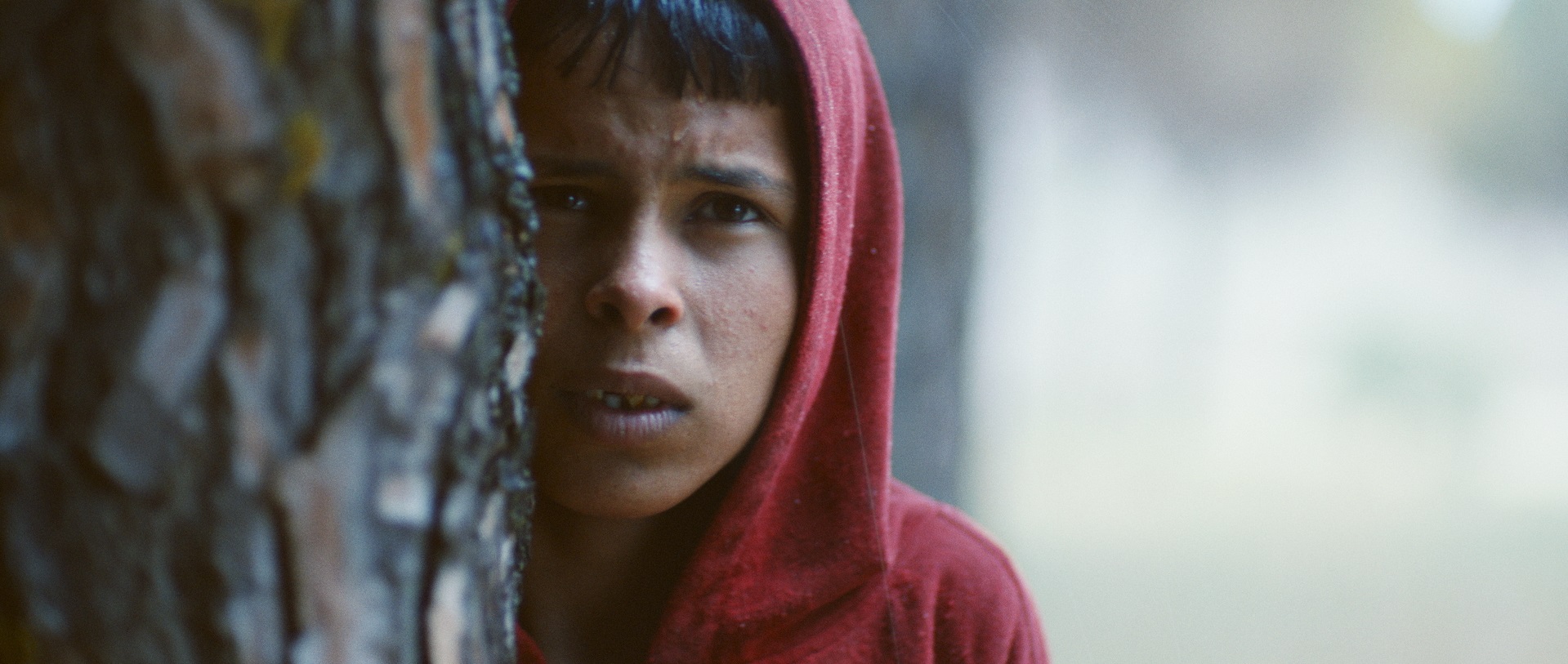 Red Path Cast Red Path sets a course for Locarno - Cineuropa