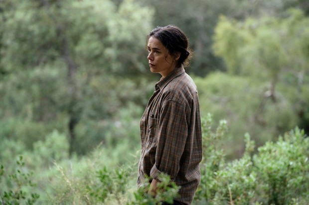 Critique : Los destellos
