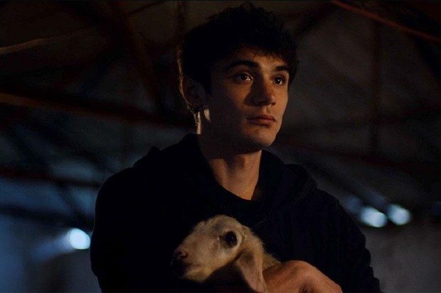 Review: Meat