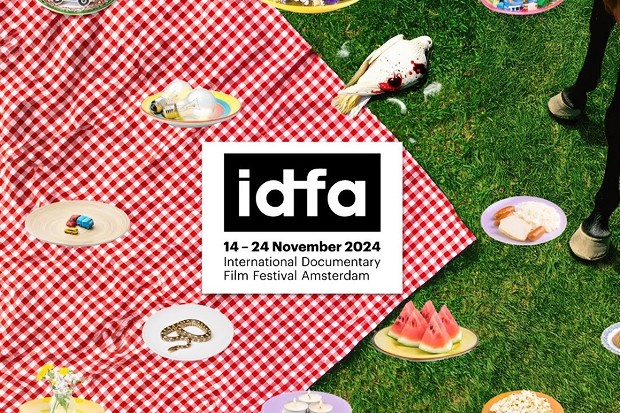 REPORT: IDFA 2024