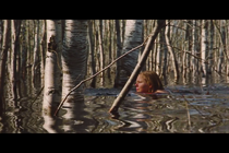 Once Upon a Time in a Forest