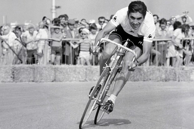 Review: Merckx