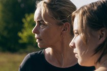 Review: Cicadas