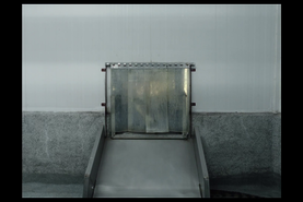 Il sentiero azzurro - di Gabriel Mascaro