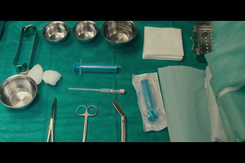 Mother's Baby (La semilla) - de Johanna Moder