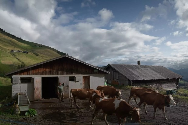 Review: Colostrum