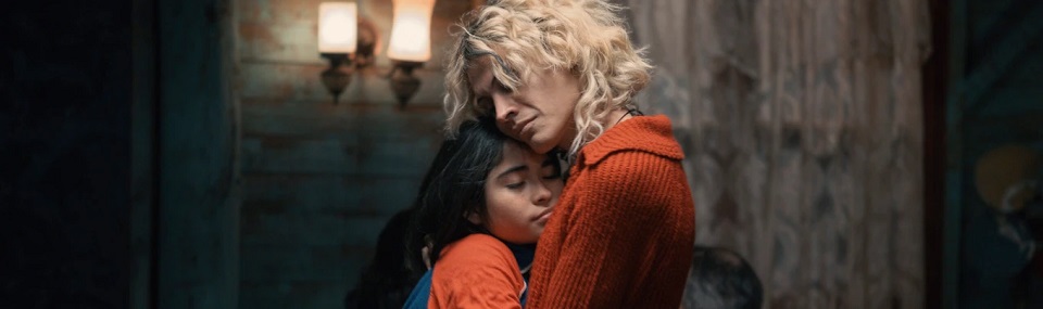 The Mysterious Gaze of the Flamingo (2025)