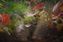 Critique : Planètes