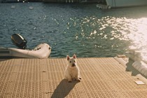 Locarno annonce le programme de ses sections parallèles