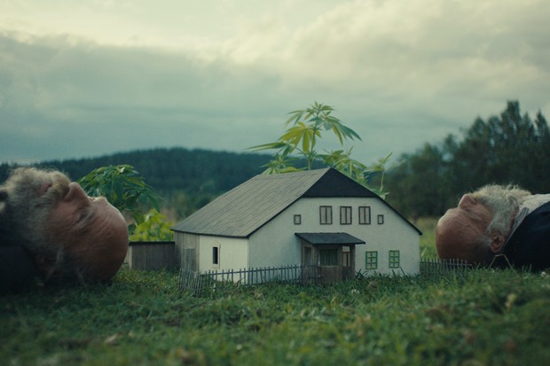 Recensione: Better Go Mad in the Wild