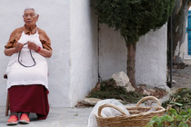 Mola: A Tibetan Tale of Love and Loss