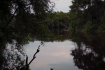 Yrupẽ