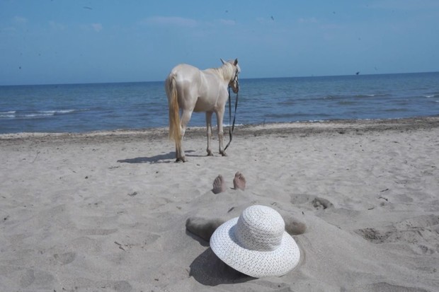 Docu Talents from the East announces its selection