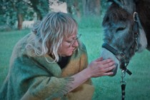 Review: Donkey Days