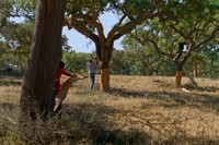 Critique : The Seasons