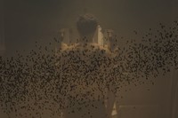 Crítica: Exile