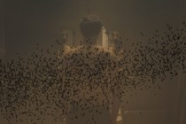 Crítica: Exile