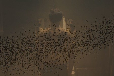 Crítica: Exile