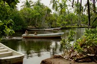 Crítica: Laguna