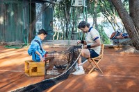Review: My Tennis Maestro