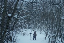 The ninth edition of the Santander Film Festival gets underway