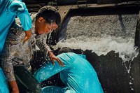 Recensione: Laundry