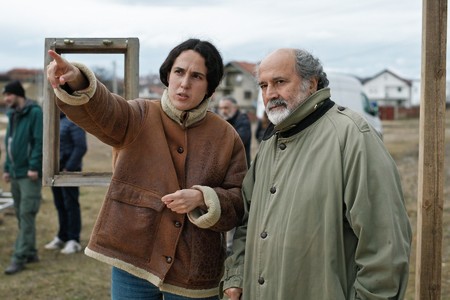 Review: The Beauty of the Donkey