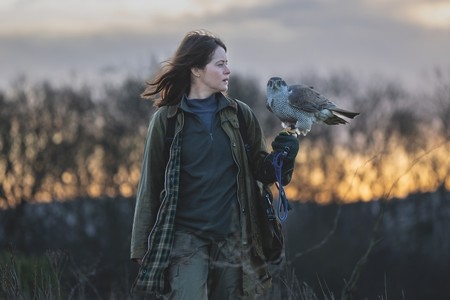 Review: H Is for Hawk