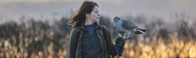H Is for Hawk