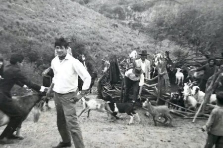 Nuestra tierra di Lucrecia Martel si aggiudica il premio per il miglior film al BFI di Londra