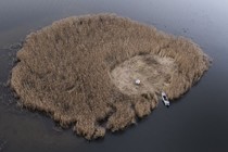 El Festival Black Nights de Tallinn celebra la creatividad con su Competición báltica expandida