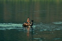 IDFA reveals its competition titles