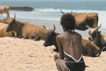 L’Alternativa desvela la programación de su 32.ª edición