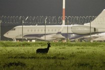 Crítica: Scarecrows