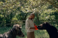 Review: Hercules Falling