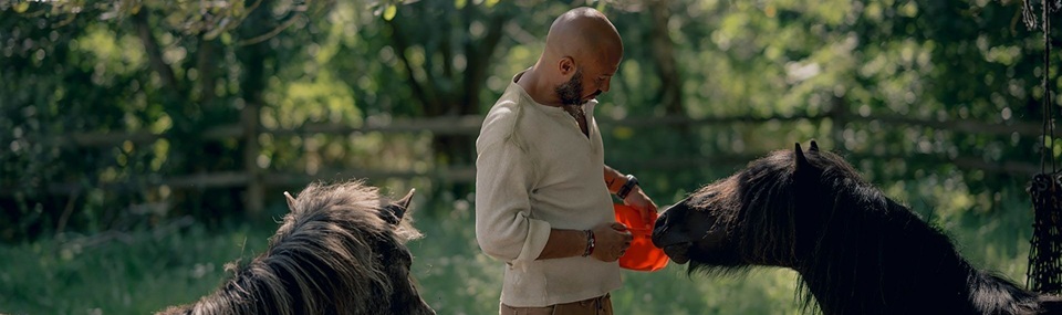 Hercules Falling (2025)