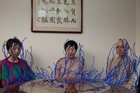 Review: Confessions of a Mole