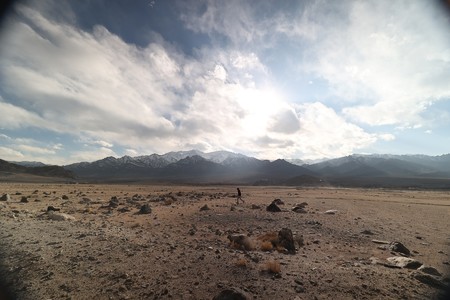 REPORT : Waves Film Bazaar Co-Production Market 2025 @ Goa Film Festival